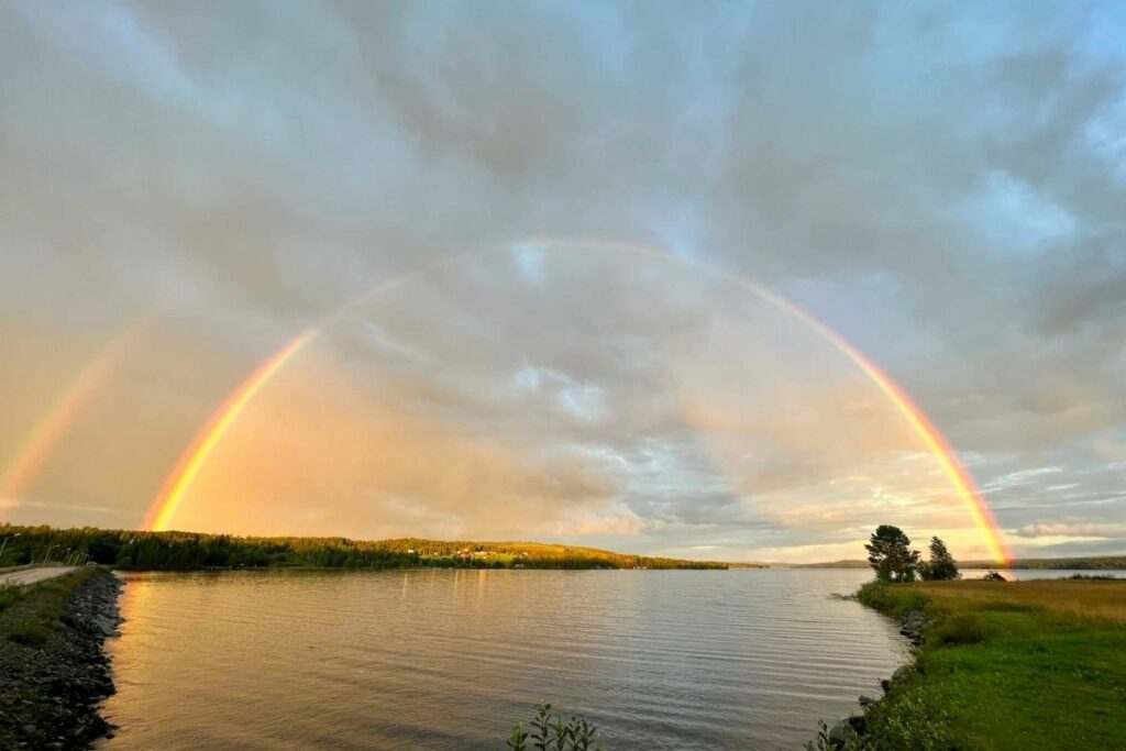 Färnebofjärdens nationalpark – naturmiljö
