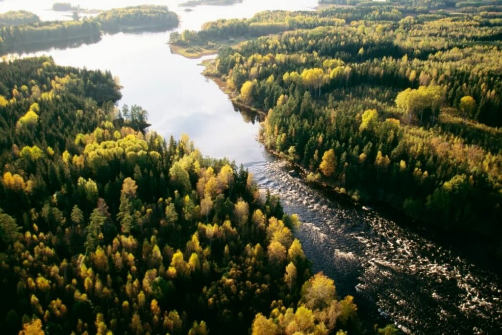 Glaskogens naturreservat – naturmiljö